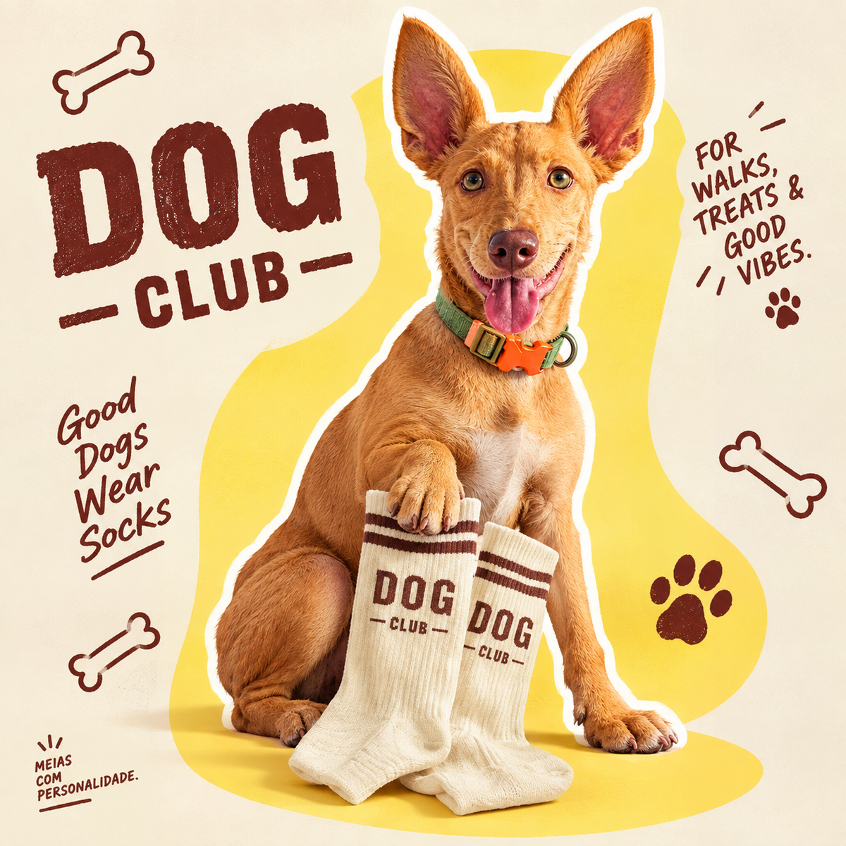 DOG CLUB SOCKS