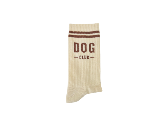DOG CLUB SOCKS